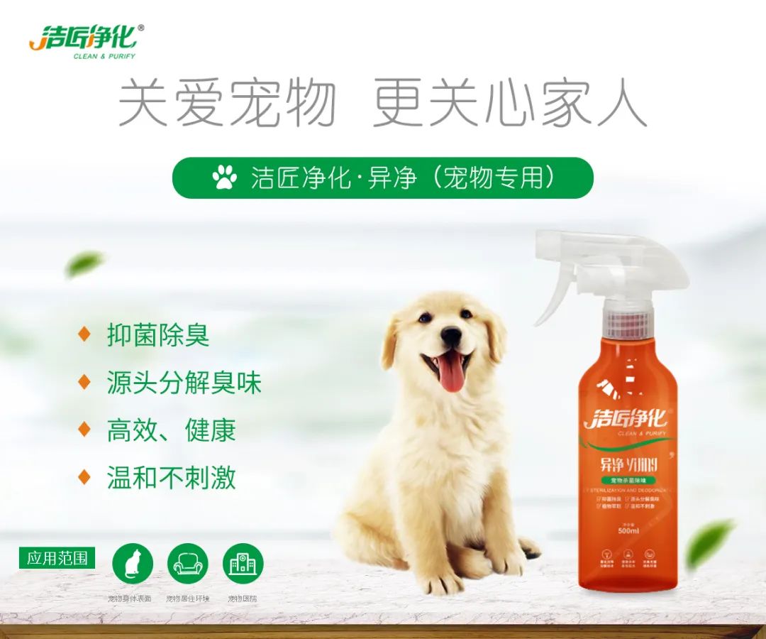 寵物氣味彌漫整個屋子，潔匠凈化教您如何除味